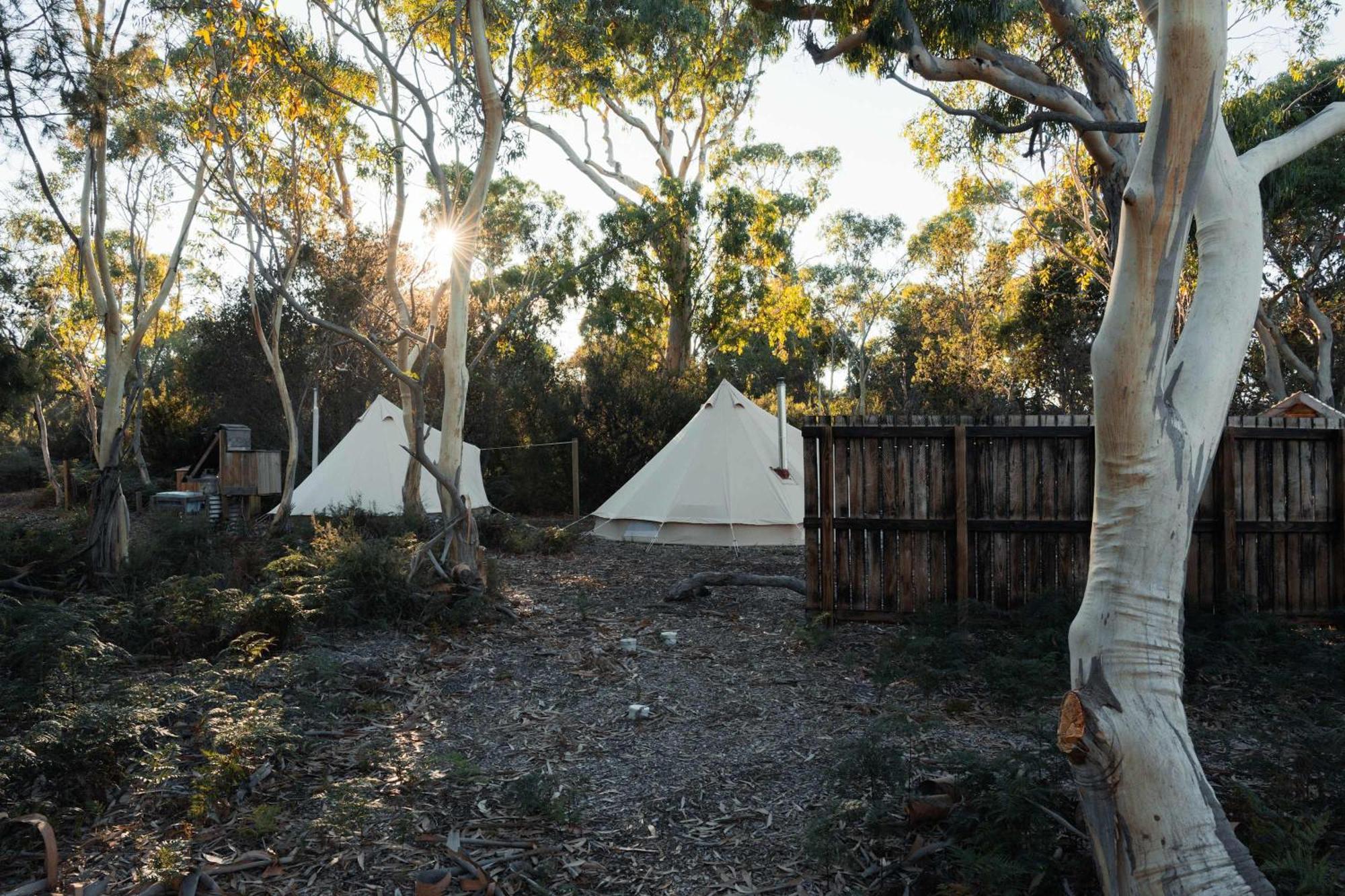 Numie - Freycinet Peninsula - Glamping - Heated - Waterfront Hotel Коулс Бей Екстериор снимка