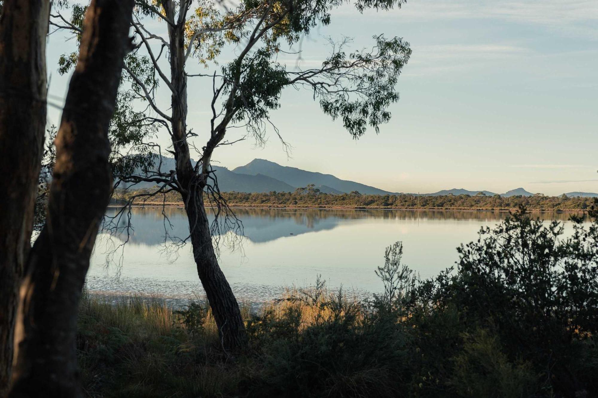 Numie - Freycinet Peninsula - Glamping - Heated - Waterfront Hotel Коулс Бей Екстериор снимка
