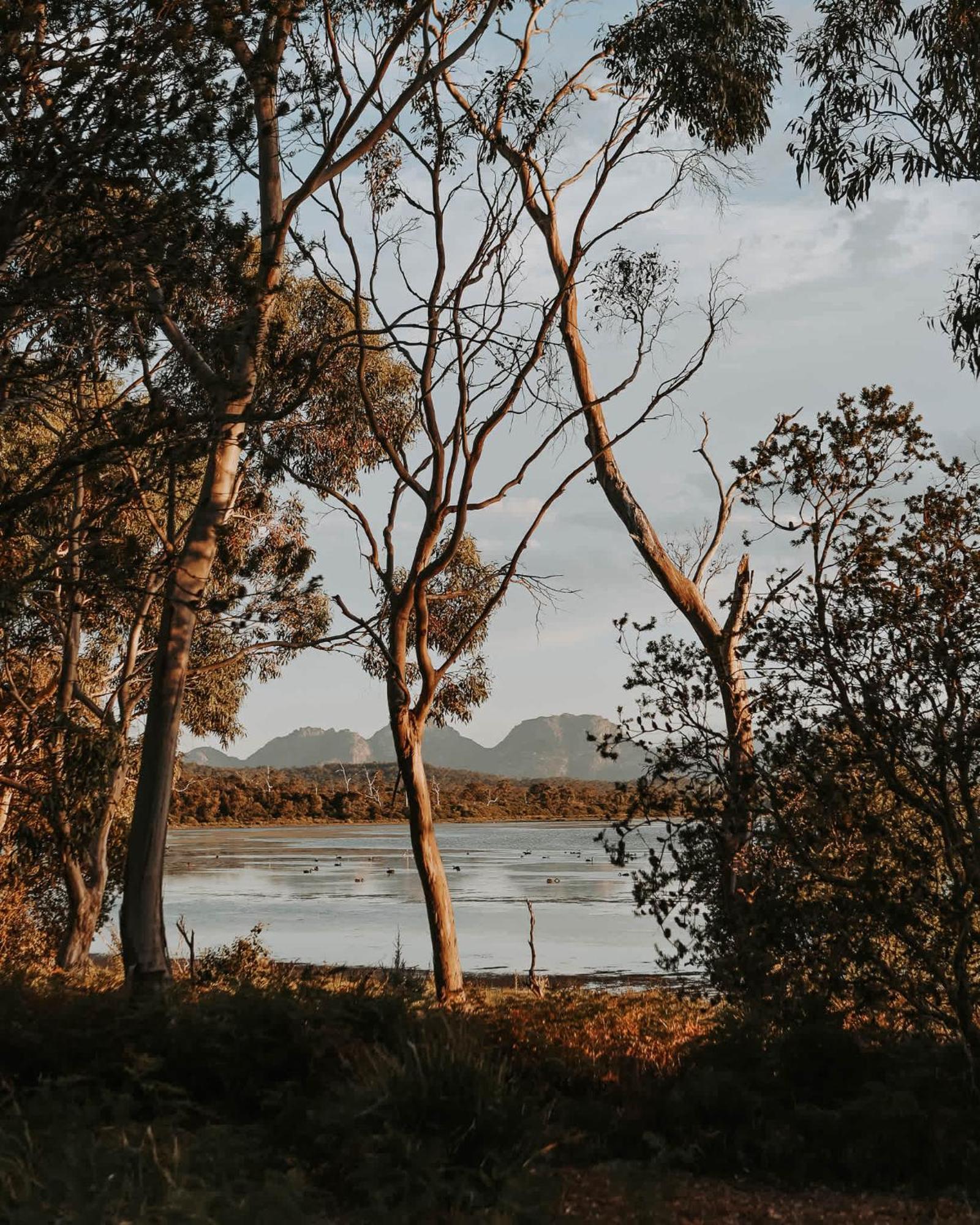 Numie - Freycinet Peninsula - Glamping - Heated - Waterfront Hotel Коулс Бей Екстериор снимка